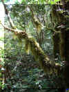 07_030930-130022-42.jpg (247781 Byte)
